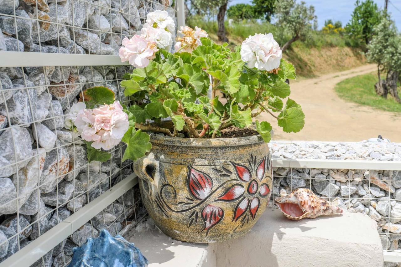 Casa Rozana - Skiathos Exterior photo